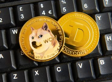 Navigating the Complex World of Cryptocurrency and Altcoin Investments
