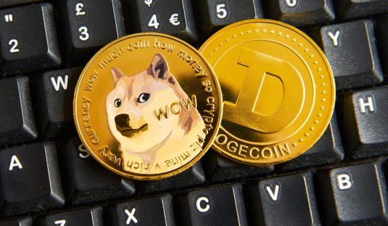 Navigating the Complex World of Cryptocurrency and Altcoin Investments