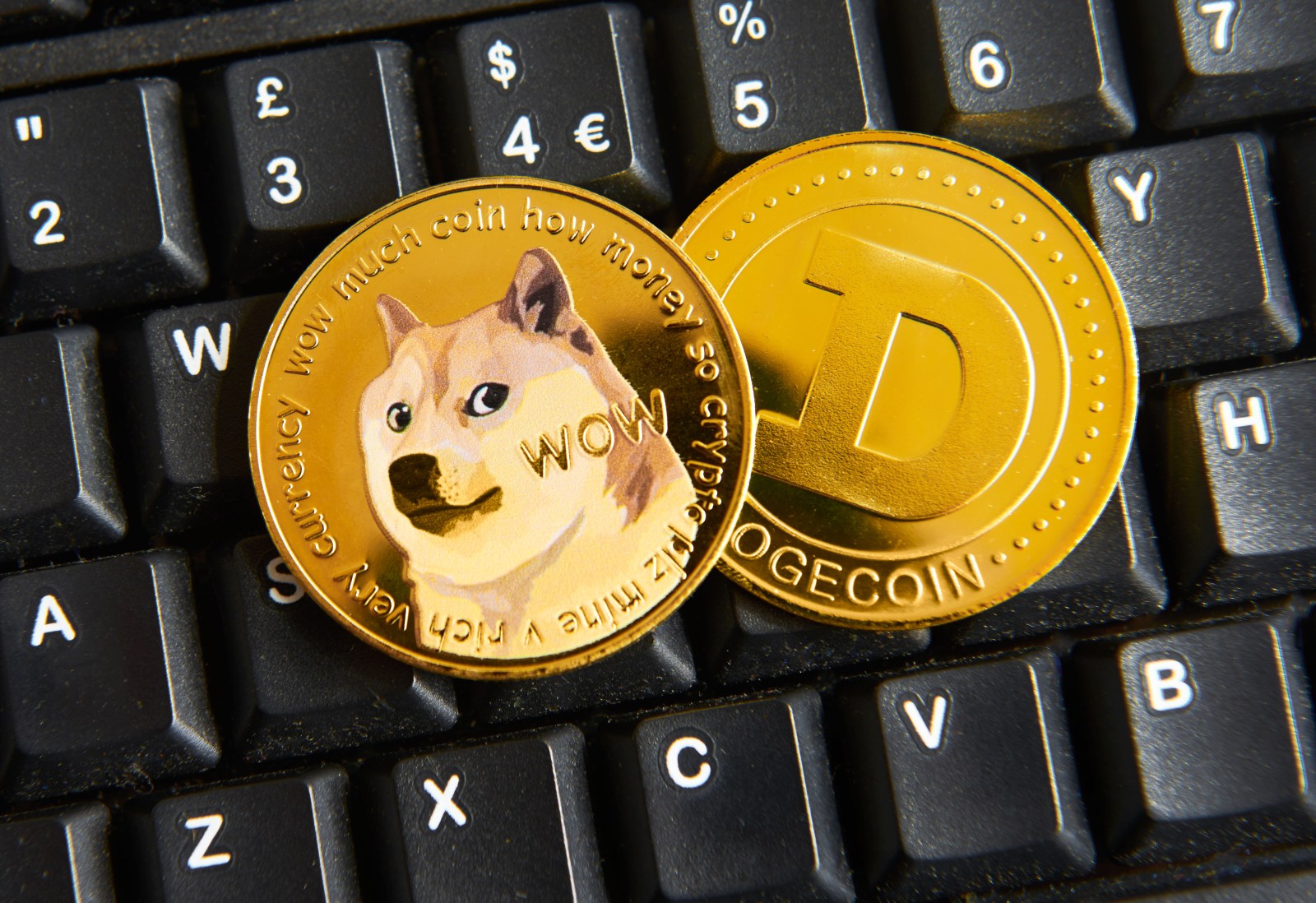 Navigating the Complex World of Cryptocurrency and Altcoin Investments