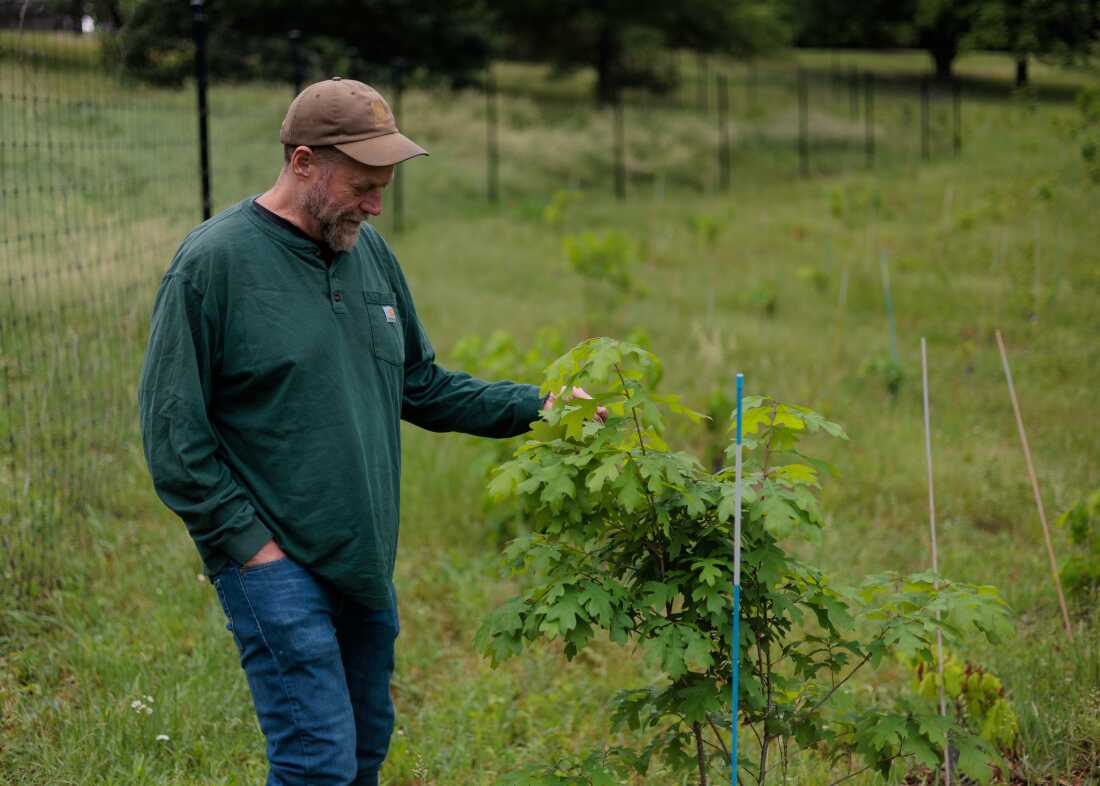Forest Service Research Faces Uncertain Future Amid Reorganization