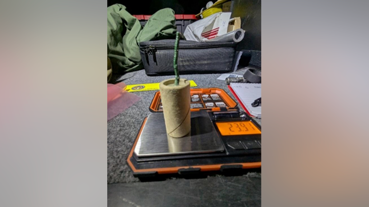 California Man Charged with Carrying Explosive Device at Airport