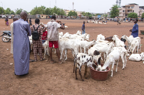 Tragedy in Niger: 49 Die of Thirst in Sahara Desert