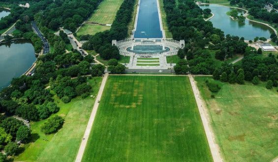 Vandalism at the National Mall: Grass Stained with Controversial Numbers