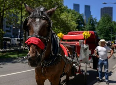 New York City Poised to Break 157-Year Weather Record