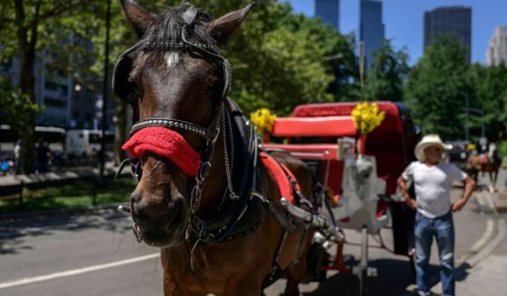 New York City Poised to Break 157-Year Weather Record