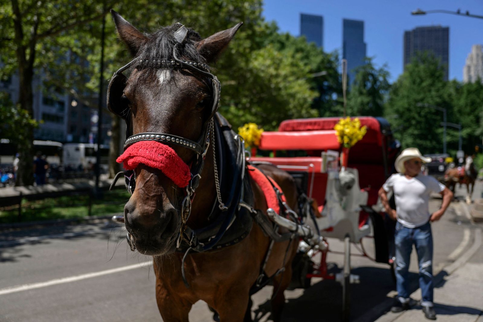 New York City Poised to Break 157-Year Weather Record