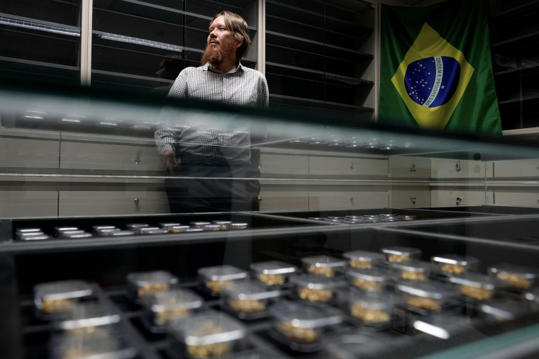 Brazil Combats Illegal Gold Mining in the Amazon with Forensic Science