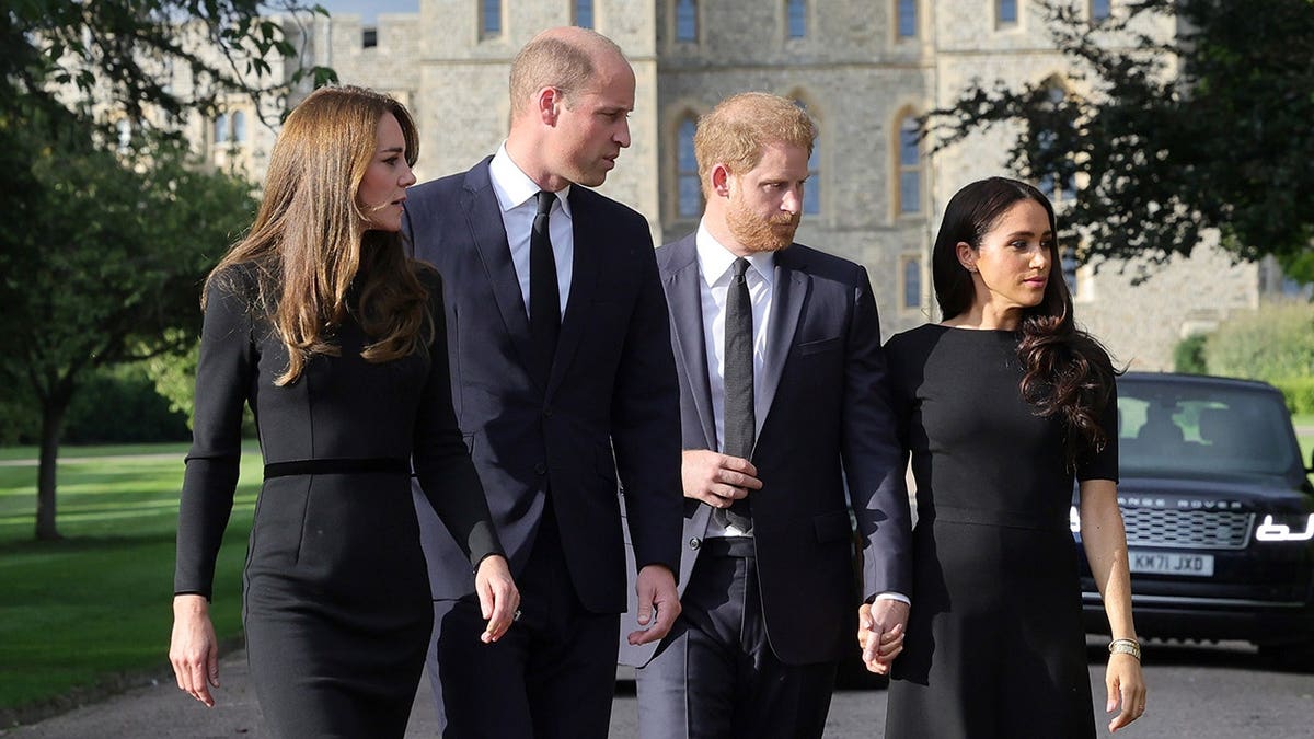 Prince Harry and Meghan Markle’s Secret Meeting with King Charles Kept from Prince William and Kate