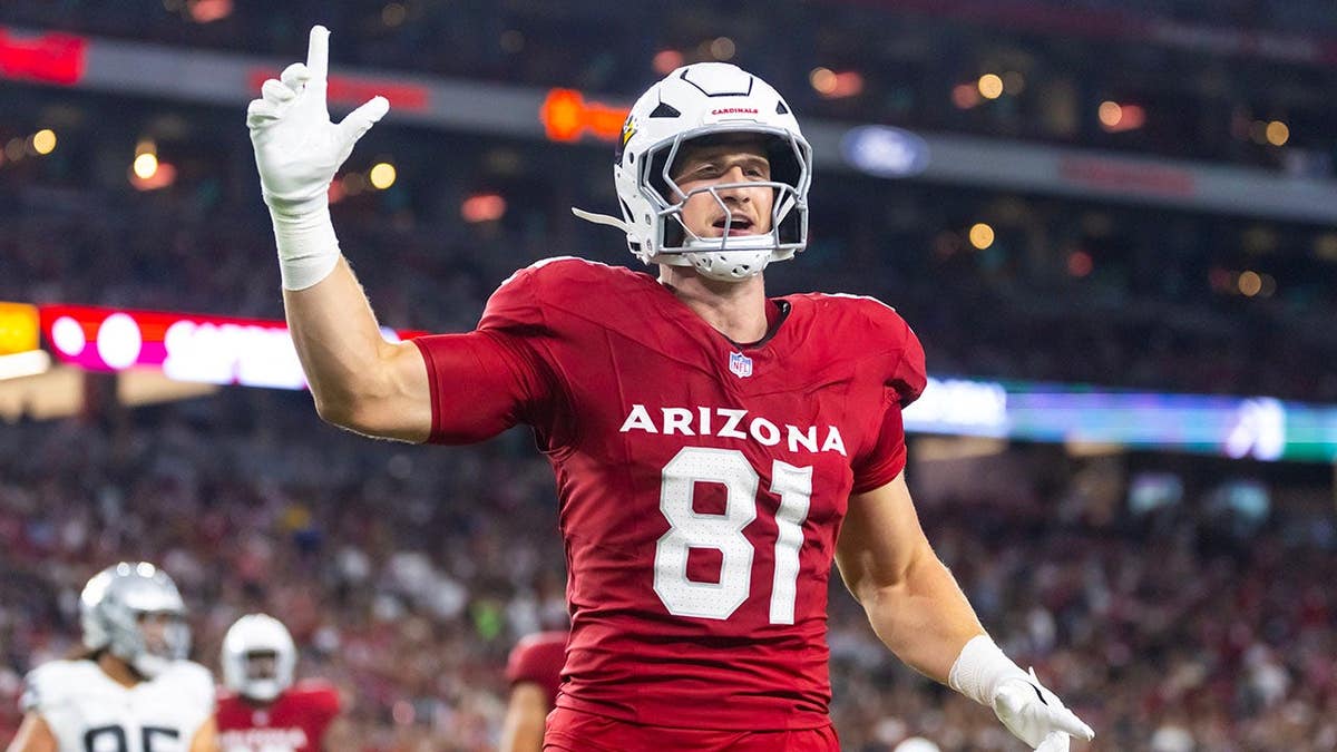 Arizona Cardinals’ Travis Vokolek Retires After Neck Injury