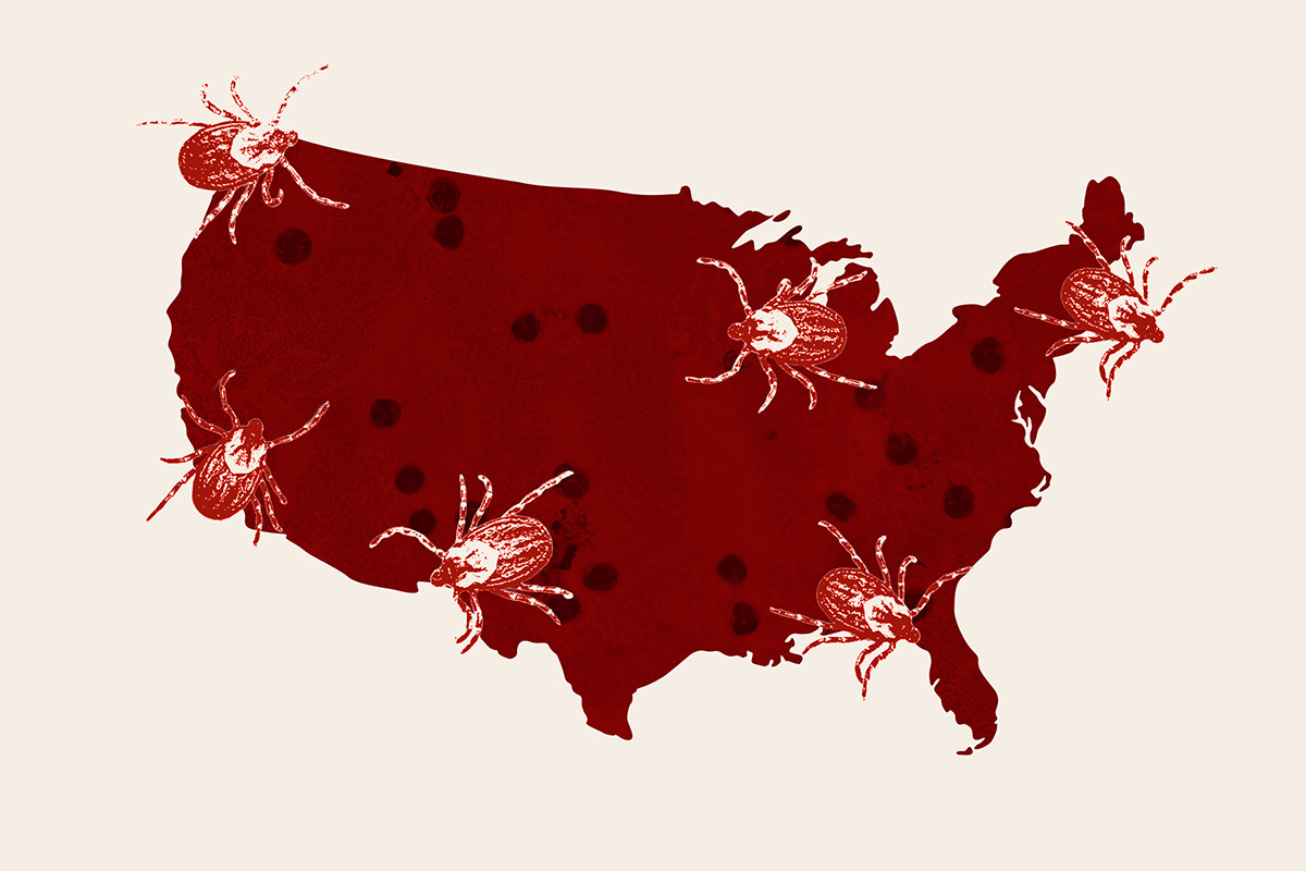 Rising Tick-Borne Diseases and Their Dangers