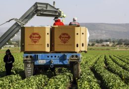Taylor Farms’ Link to Recent and Past Outbreaks