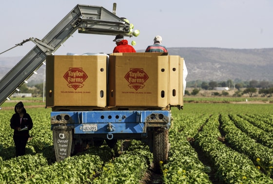 Taylor Farms’ Link to Recent and Past Outbreaks