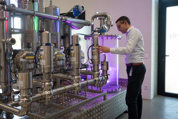 SAP’s Strategy on Job Reinvention Amid A.I. Advancements