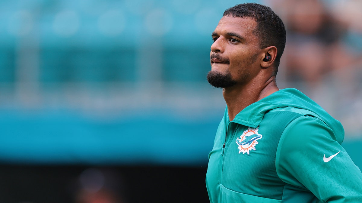 Miami Dolphins: A Rebuilding Year or a Quest to Compete?