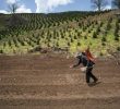 Impact of Iranian Conflict on Fertilizer Prices and U.S. Farming