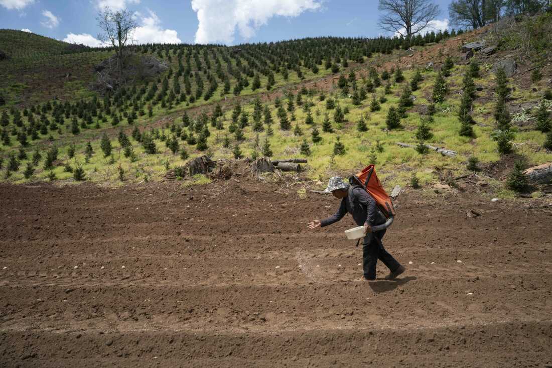 Impact of Iranian Conflict on Fertilizer Prices and U.S. Farming