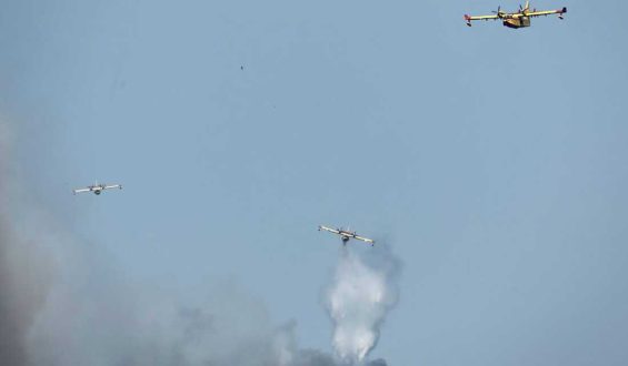 Wildfires in France and Spain Cause Massive Evacuations and Destruction