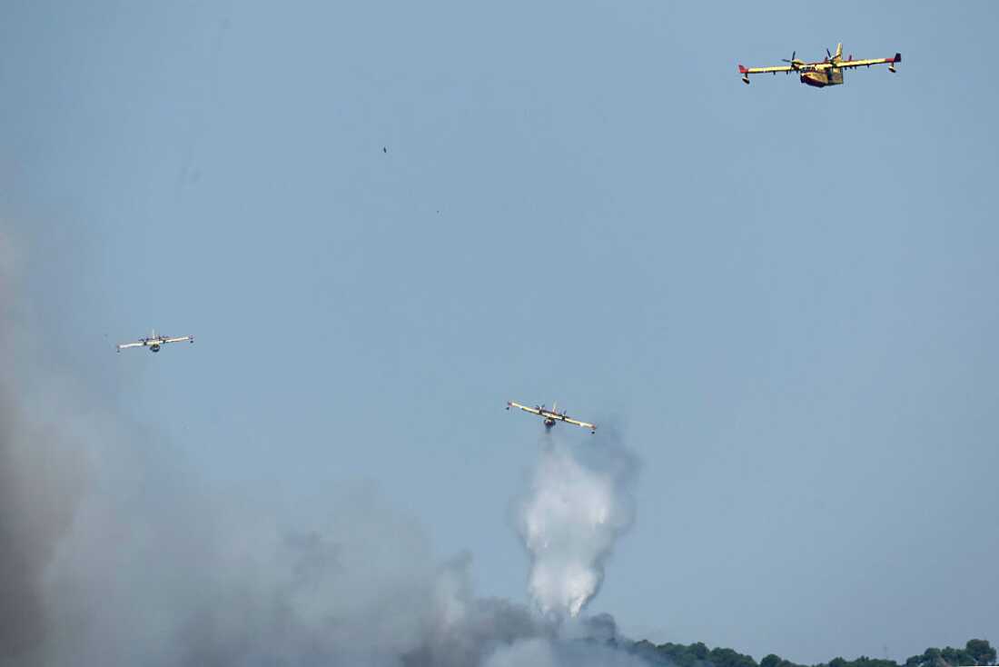 Wildfires in France and Spain Cause Massive Evacuations and Destruction