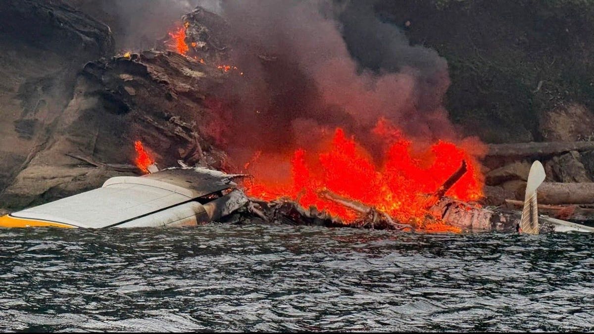 Kenmore Air Floatplane Emergency Landing and Fire Injures Multiple Passengers