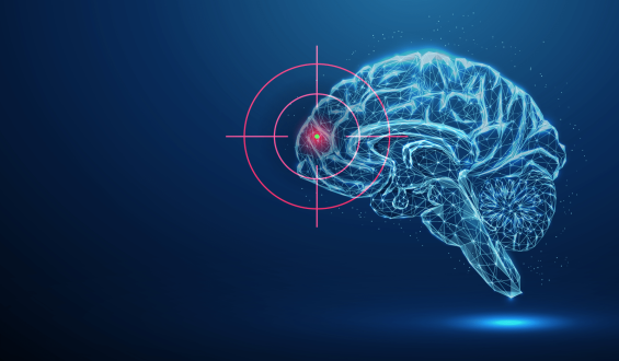 Unique Alzheimer’s Risk Factors in South Asian Americans
