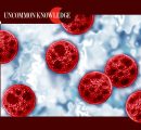 Understanding Cyclospora and its Viral Internet Parallel