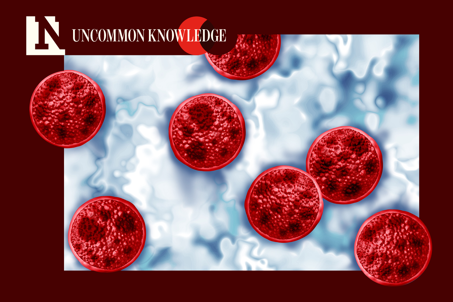 Understanding Cyclospora and its Viral Internet Parallel