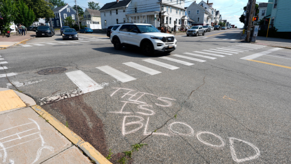 Congress Demands Investigation of ICE Officer’s Deadly Shooting