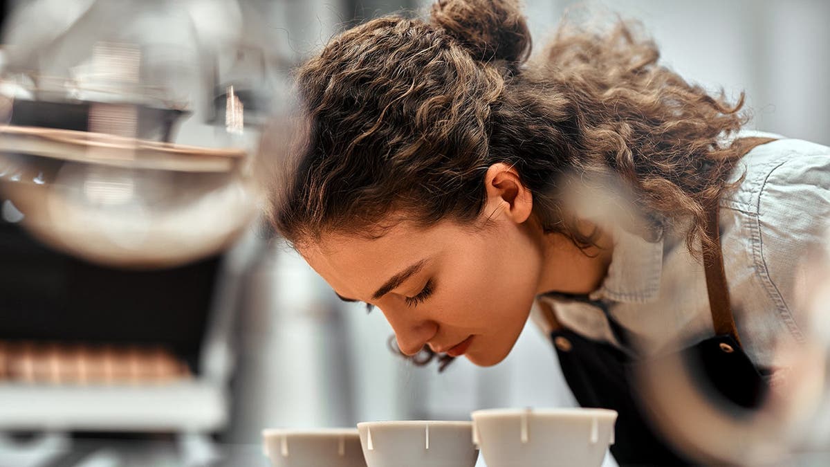 Coffees Around the World Earn Top Honors