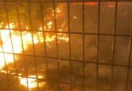 Wildfires Devastate Gironde Region: A Firsthand Account
