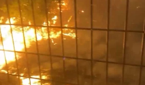 Wildfires Devastate Gironde Region: A Firsthand Account