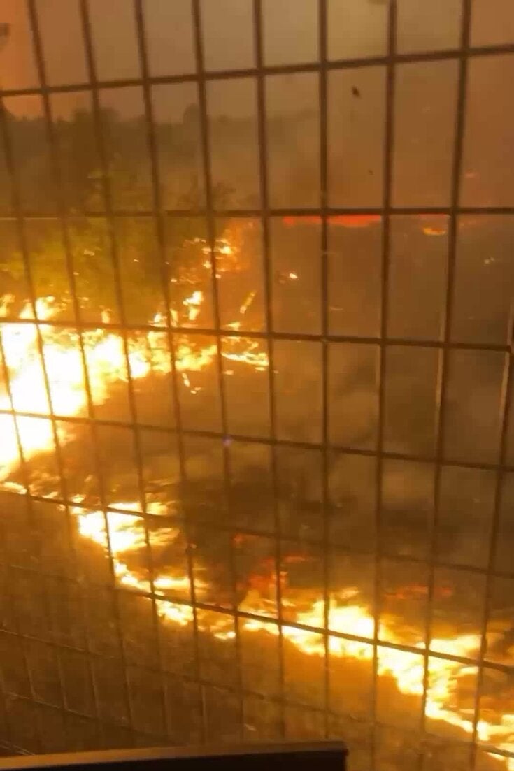 Wildfires Devastate Gironde Region: A Firsthand Account
