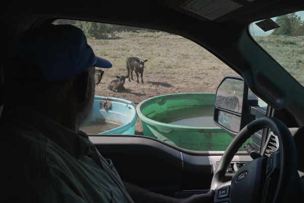 Challenges of Water Scarcity for Ranchers in the U.S. Rockies