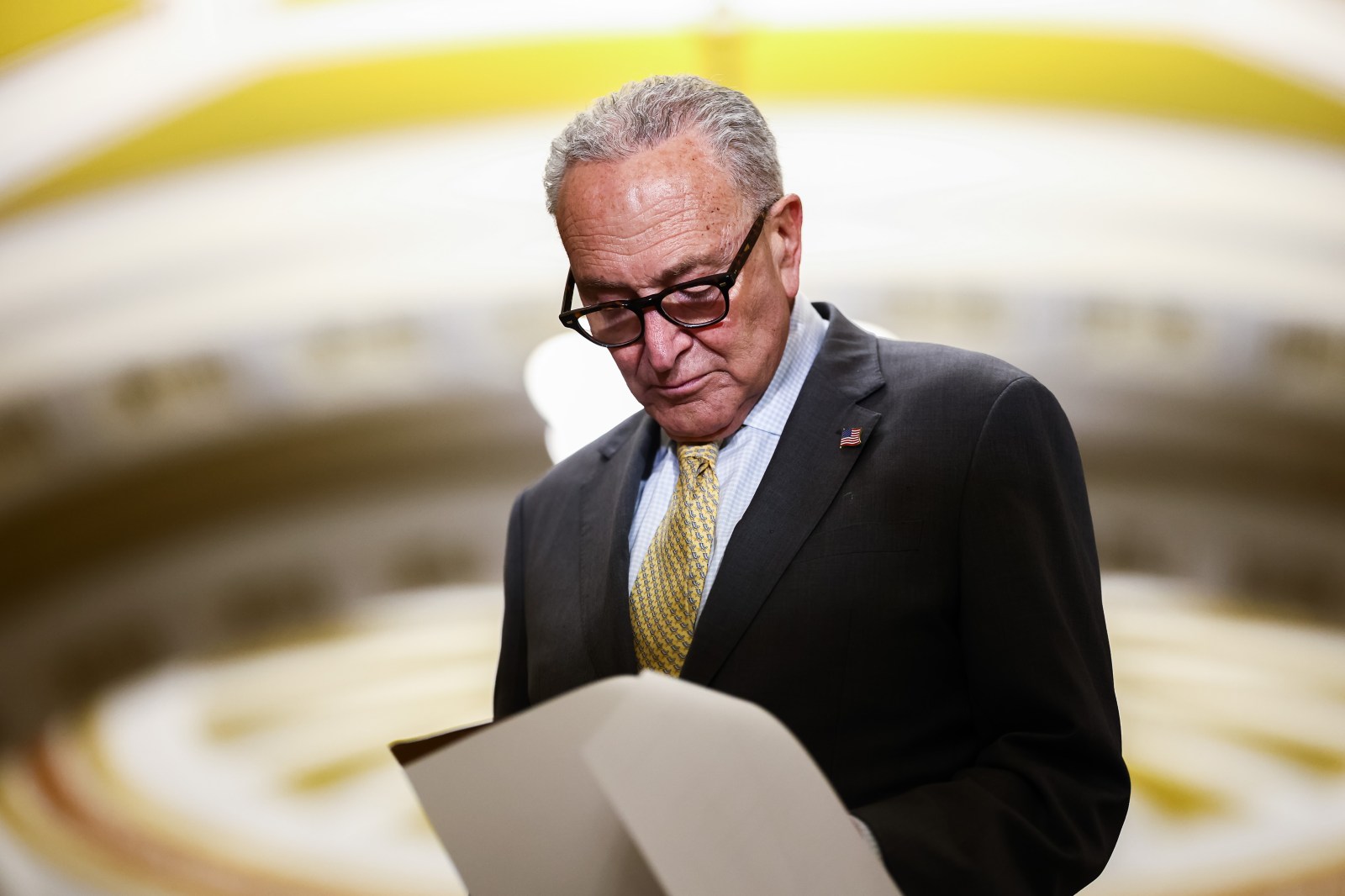 Senate Democrats Prepare for Potential Election Interference