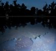 Government to Use Same Company for Reflecting Pool Repairs
