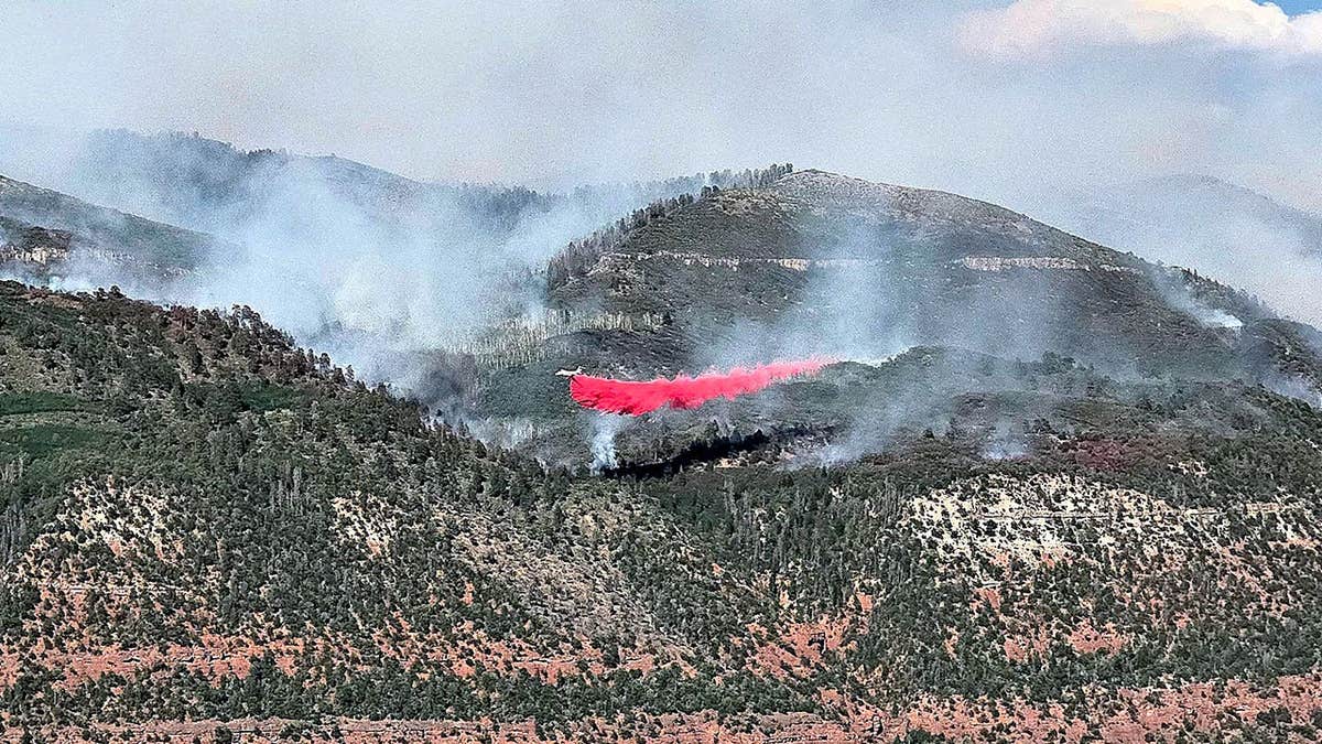 Pilot Dies in Colorado Wildfire Plane Crash