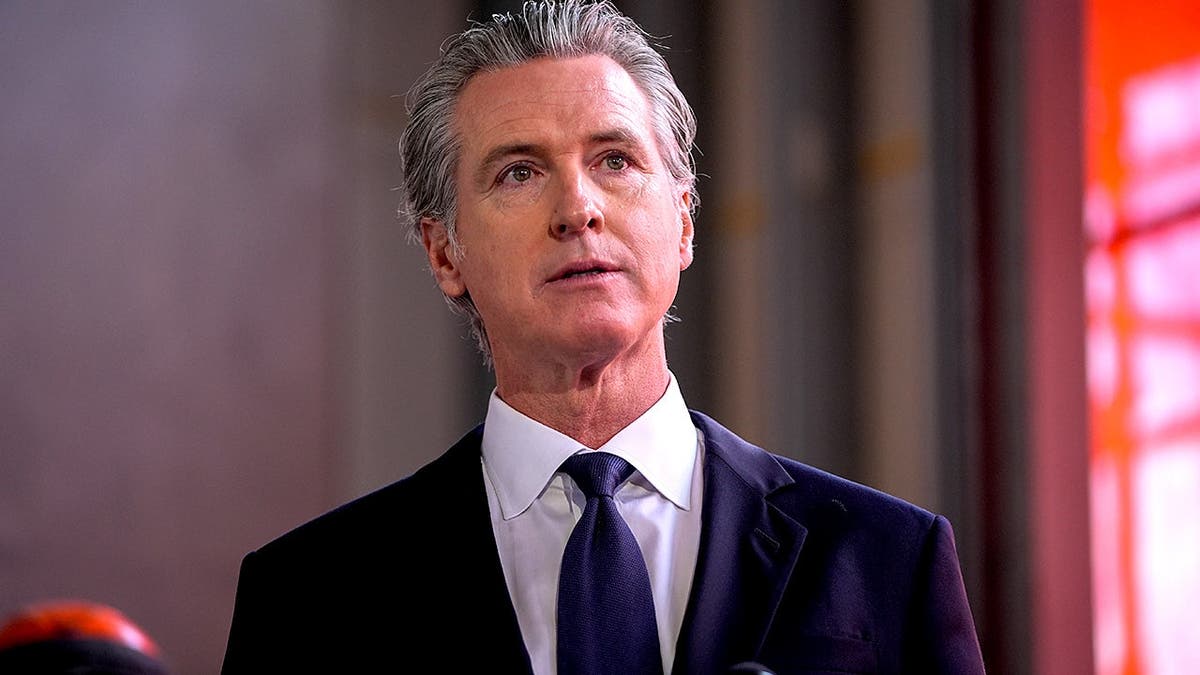 Ruby Rippey’s Account of Her Affair With Gavin Newsom and Kamala Harris’ Role in Advising Her