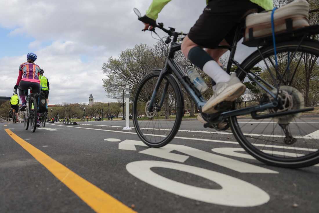 Debate Over Bike Lane Removal Sparks Safety Concerns
