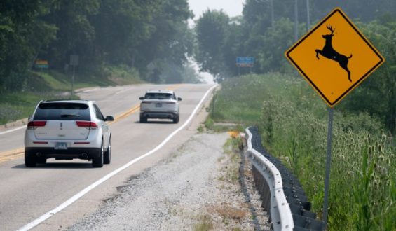 Illinois Roadkill Deer Utilization Program