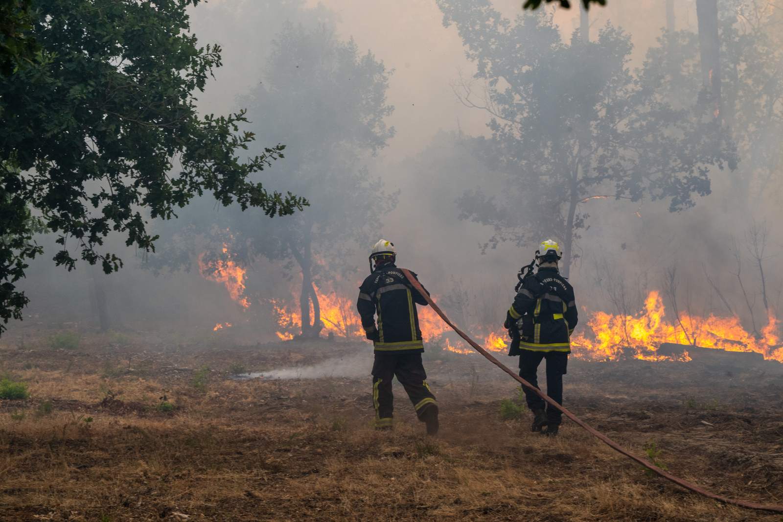 Wildfires in France and Spain: A Massive Evacuation Effort