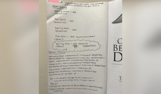 Heartwarming Discovery in Thrift Store Leads to Unforeseen Connection