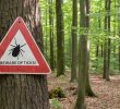 Ticks: A National Concern with Expanding Reach