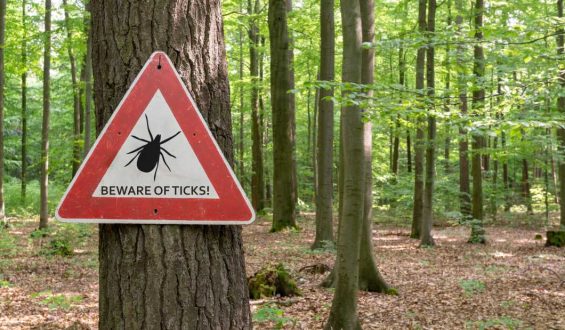 Ticks: A National Concern with Expanding Reach