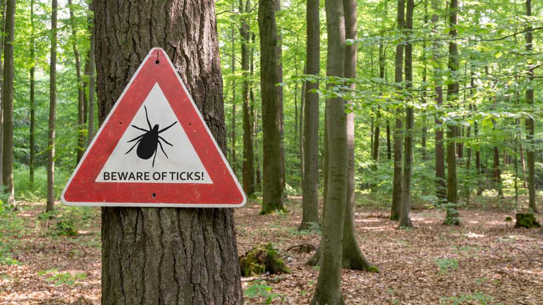 Ticks: A National Concern with Expanding Reach