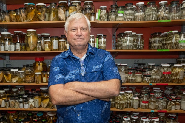 Marine Biologist Kent Carpenter Tragically Killed in the Philippines
