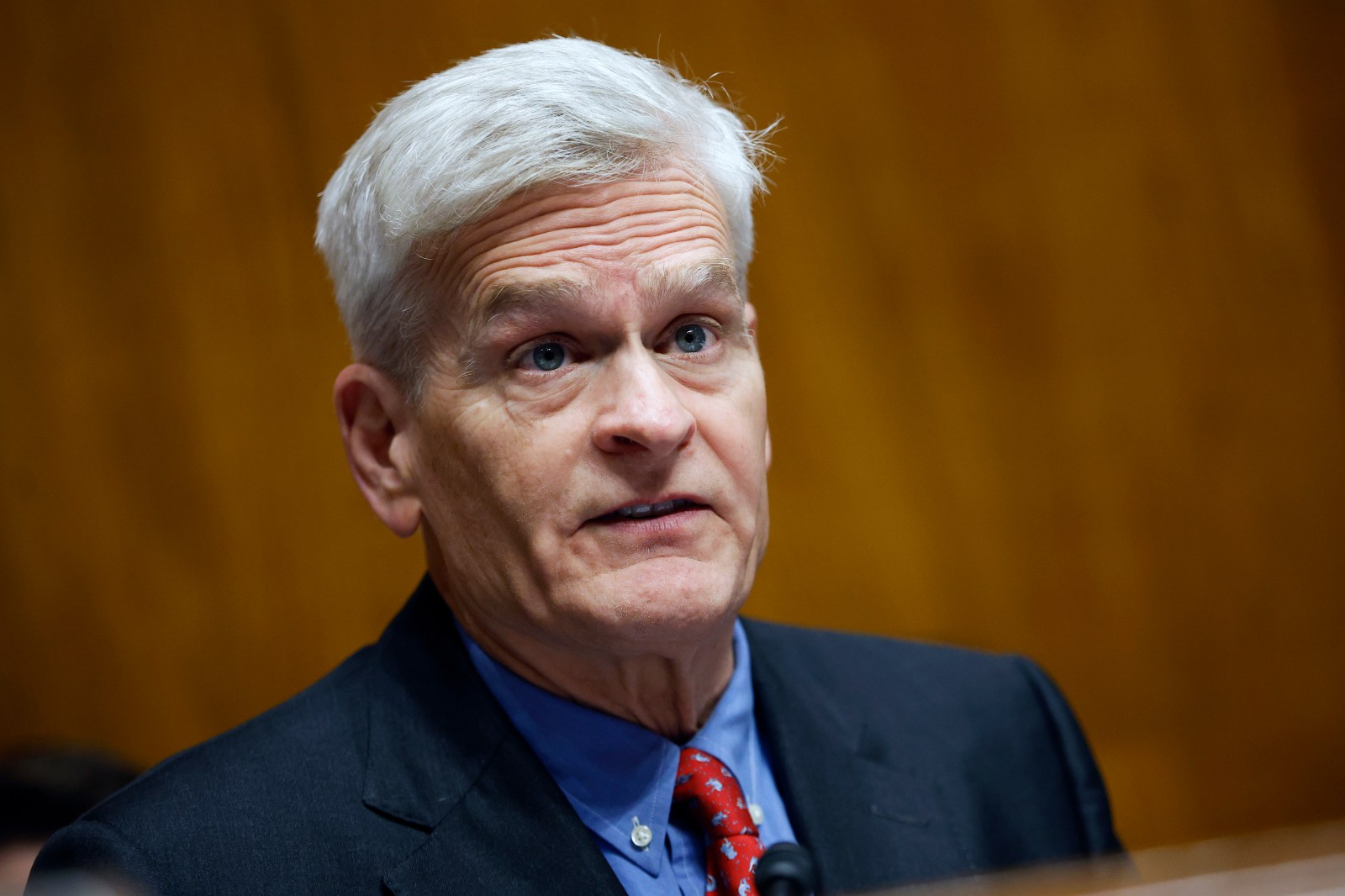 Incumbents Face Tough Primary Season in 2026 Elections
