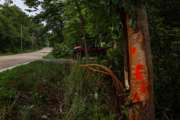 Fatal Rollover Crash in Barrington Hills