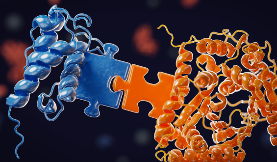Scientists Discover Bacteria’s Role in Creating Cancer-Fighting Compounds