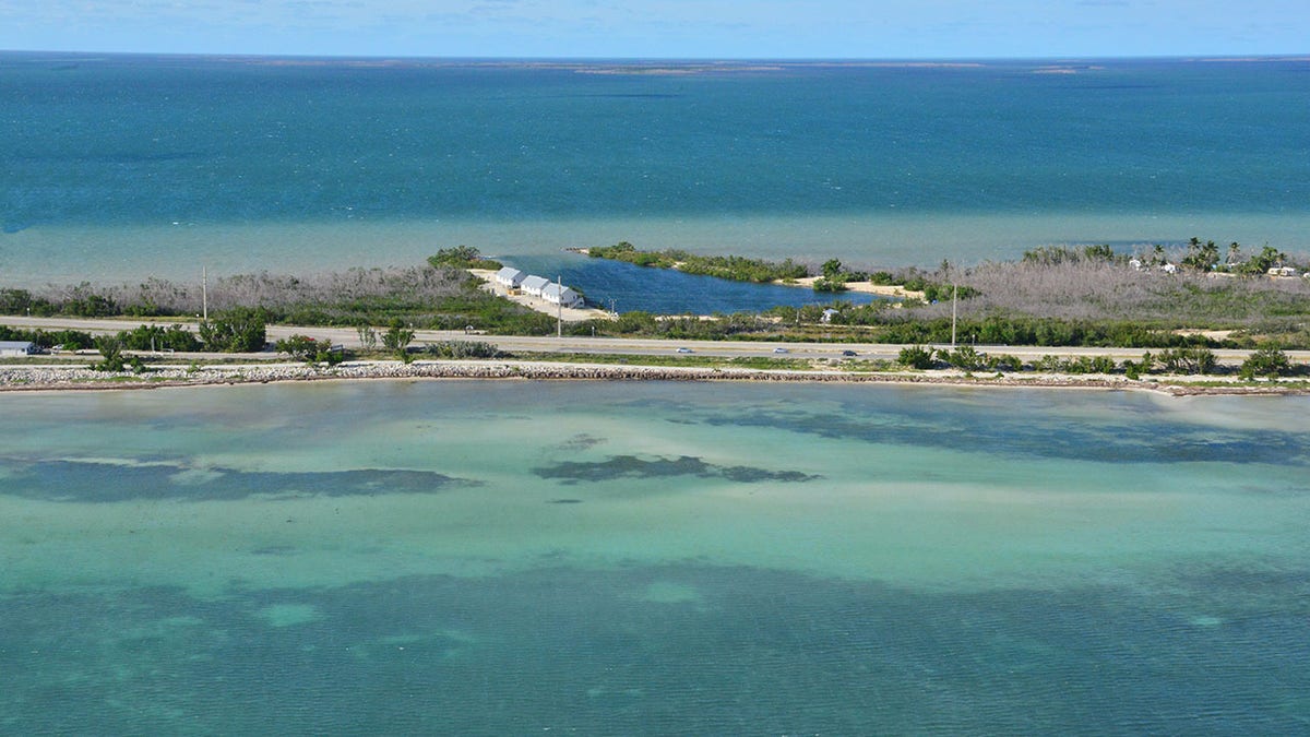 Embrace the Spiny Lobster Mini Season in South Florida