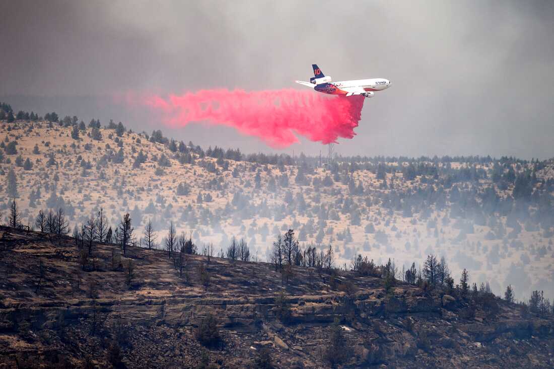 Wildfires Ravage Central and Eastern Oregon Amidst Alarming Conditions