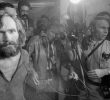 House Panel Investigates CIA’s MKUltra Program